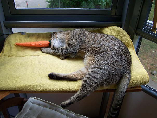 Kindererziehung ist ja soo anstrengend