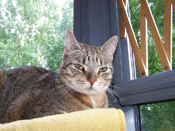 Jetzt bin ich ein gro�er 