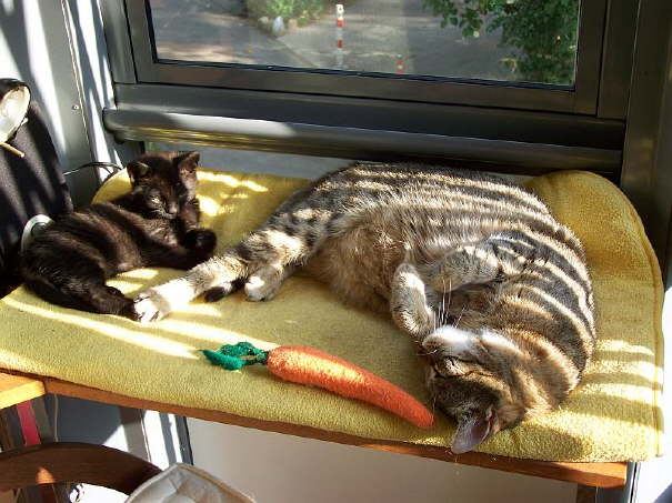 Ich kann nicht mehr....