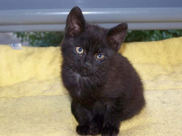 Bin ich nicht eine kleine Sch�nheit