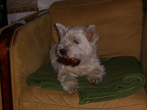 Mein Schweineohr bekommt keiner